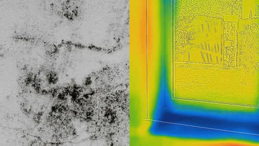 Why Mold Forms Around Window Reveals — and How to Stop It