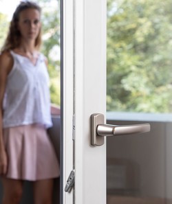 EMOTION window handles