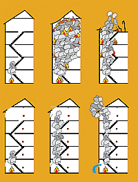 RWA — automatic smoke extraction and ventilation systems.